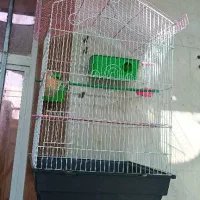 قفس نو با تمام متعلقات