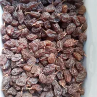 کشمش درجه یک