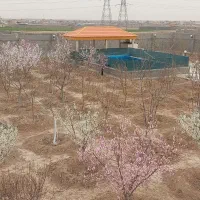 نگهبان باغ