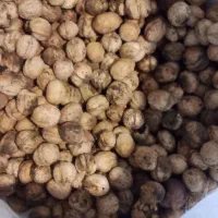 گردو درجه یک|عمده‌فروشی|سیلوانه, |دیوار