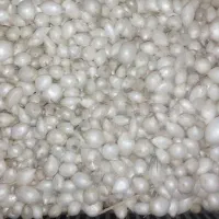 ۴کیلوپیاز مینروا ۲کیلوراتا