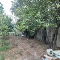 باغچه-1000-متری