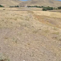 زمین کشاورزی در روستای نوساله تیکمه داش