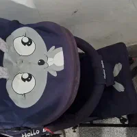 کالسکه عصایی خارجی