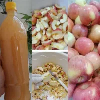 سرکه سیب ارگانیک