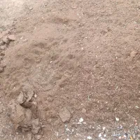 کود گوسفندی تازه|لوازم جانبی حیوانات|شراء, |دیوار