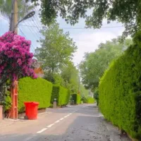 284م. 20دقیقه پیاده تا دریا/بدون مشرف|فروش زمین و ملک کلنگی|نشتارود, |دیوار