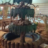 نمای باغ و ویلا