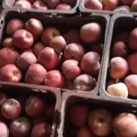فروش عمده سیب قرمز و سفید تناژ بالا