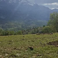 زمین-چالیمار