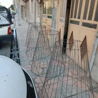 قفس لاری گنجه لاری کله قندی