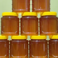 عسل سارای خوب و درجه یک