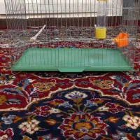 قفسه قناری|لوازم جانبی حیوانات|کرج, عظیمیه|دیوار