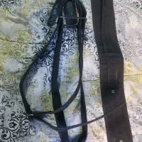 کمربند هیکلی نو