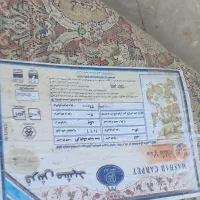 فرش 700 شانه تک|فرش|مشهد, امیریه|دیوار