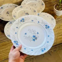 آرکوپال فله|ظروف سرو و پذیرایی|جهرم, |دیوار