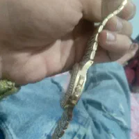 ساعت امپاور اصل ۱۰۰۰نگین رنگ ثابت|ساعت|شوشتر, |دیوار