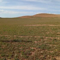 زمین کشاورزی