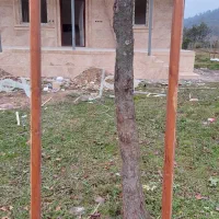 چهارچوب در و دریچه