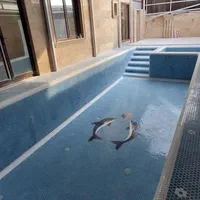 اجرای صفر تا صد استخر با تیمی مجرب|خدمات پیشه و مهارت|لاهیجان, قیام|دیوار