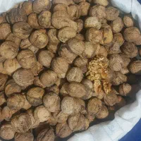 گردوی درجه یک