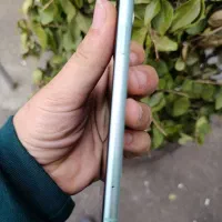 ایفون ۱۱  تک سیم در حد نو|موبایل|رشت, بازار|دیوار