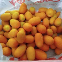 پرتقال کام کوات