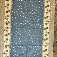 دو عدد سفر ژاپنی