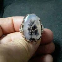 شجر تک درخت قواره دار قائن گل مشکی