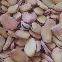 باقله خشک|خوردنی و آشامیدنی|شوشتر, |دیوار