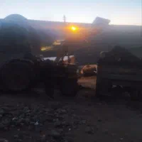 کود گوسفندی|خدمات باغبانی و درختکاری|اسکو, |دیوار