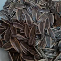 تخمه ارگانیک|خوردنی و آشامیدنی|دهگلان, |دیوار