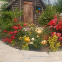 اجاره روزانه ویلا باغ پارادایس در مرودشت|اجارهٔ کوتاهمدت ویلا و باغ|مرودشت, ده بید|دیوار