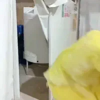 سوله کارگاهی درشهرستان نیر|اجارهٔ دفتر صنعتی، کشاورزی، تجاری|نیر (اردبیل), |دیوار