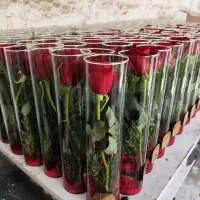 گل رز تک شاخه ، شیشه استوانه ۳۰ سانتی ،  بازار گل
