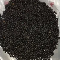 یوسر اصل|عمده‌فروشی|فومن, |دیوار