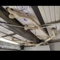 پیمانکار و مجری برق و تاسیسات با اکیپ تجهیزات کامل|خدمات پیشه و مهارت|اصفهان, عباس‌آباد|دیوار