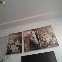 تابلو سه تکه در حد نو