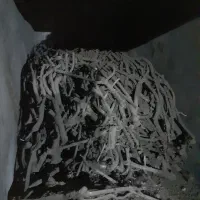 نیروی کار تمام وقت