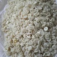 تعداد2400.عددقرقره.جارونپتون.بفروش.میرسد