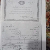 شناسنامه