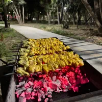 به یک کانتر کار خانم جهت کار در رستوران نیازمندیم