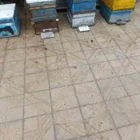 فروش کندوی عسل