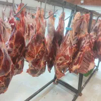 گوشت و مرغ|خوردنی و آشامیدنی|تهران, شهرک فرهنگیان|دیوار