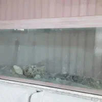 فروش آکواریوم