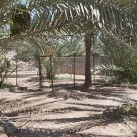 اجاره سویت مجهز و اقامت گاه|اجارهٔ کوتاه‌مدت آپارتمان و سوئیت|شادگان, |دیوار
