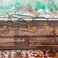 اکواریوم|ماهی|خرمشهر, |دیوار