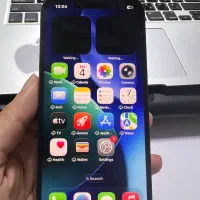 11pro max 256