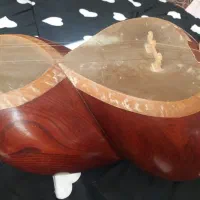 تار حرفه ای
