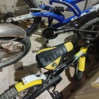 دوچرخه|دوچرخه، اسکیت، اسکوتر|بندر گناوه, |دیوار